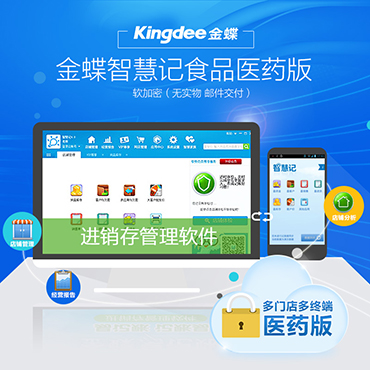 金蝶智慧记食品医药版